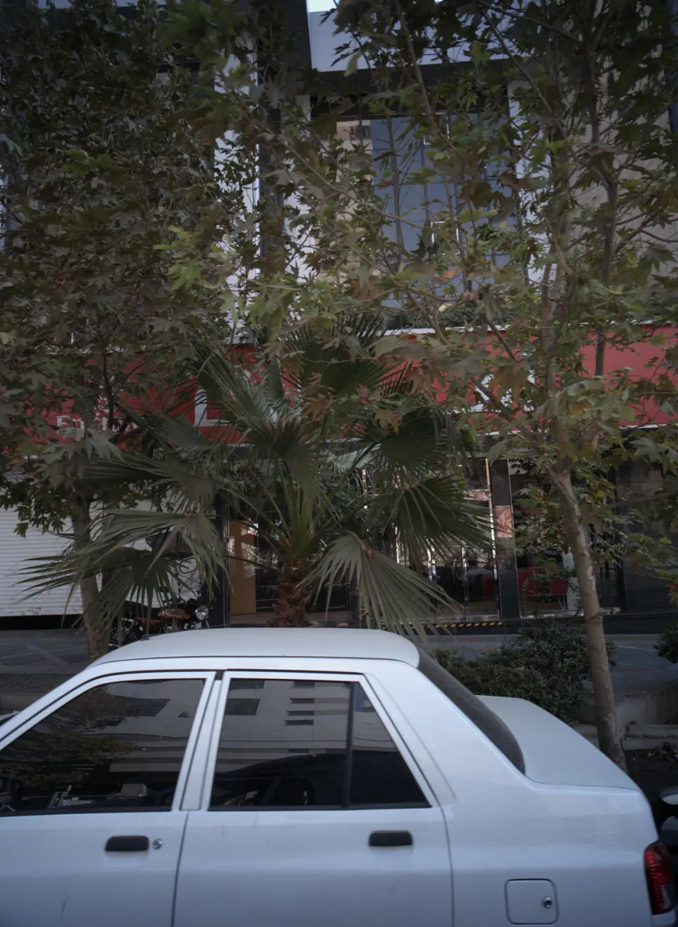 هواپیمایی امارات