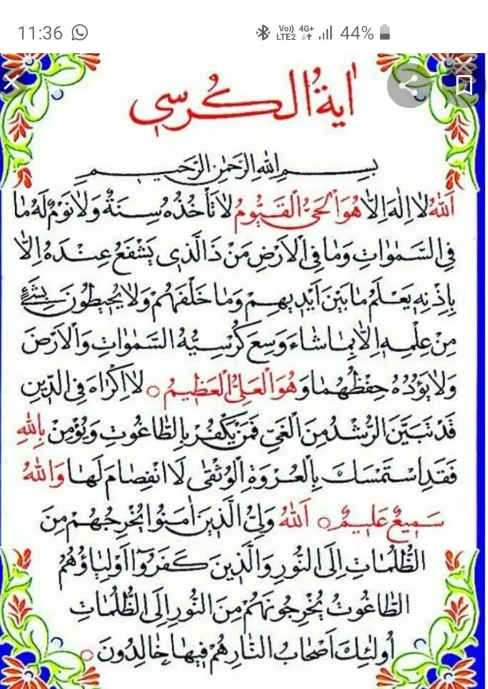 بازرگانی علیرضا توتونی