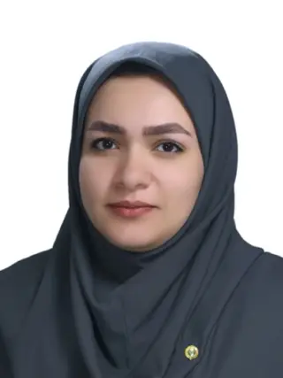 وکیل مینا پورخلیلی