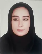 وکیل