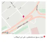 پیتزا پولو