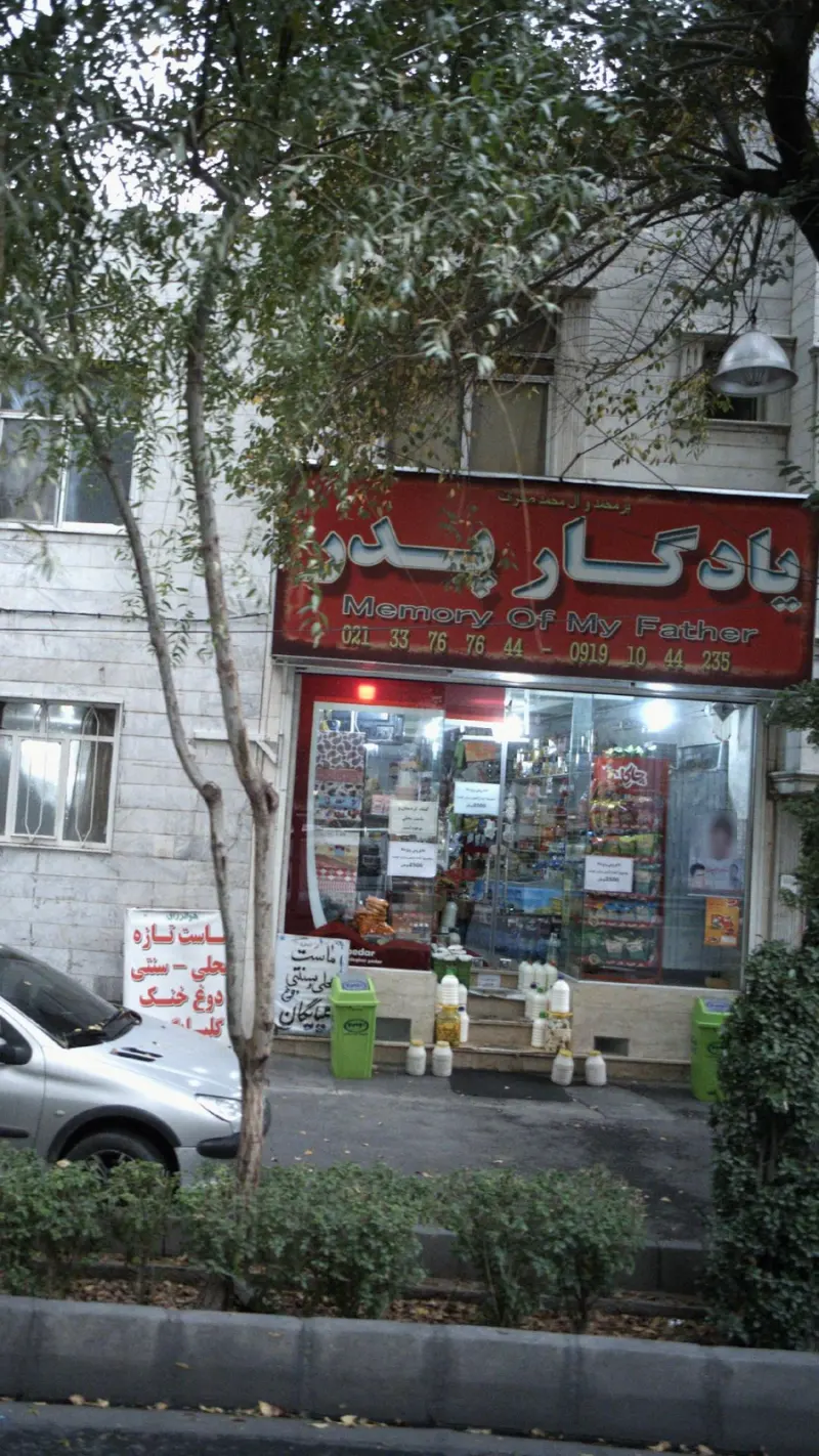 یادگار پدر