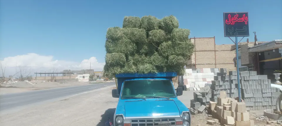 خراک دام برادان رضایی
