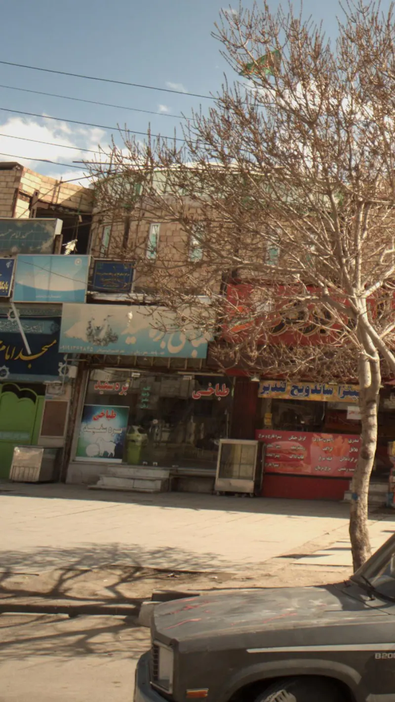 طباخی بره سفید