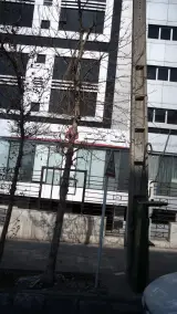 بانک ملت