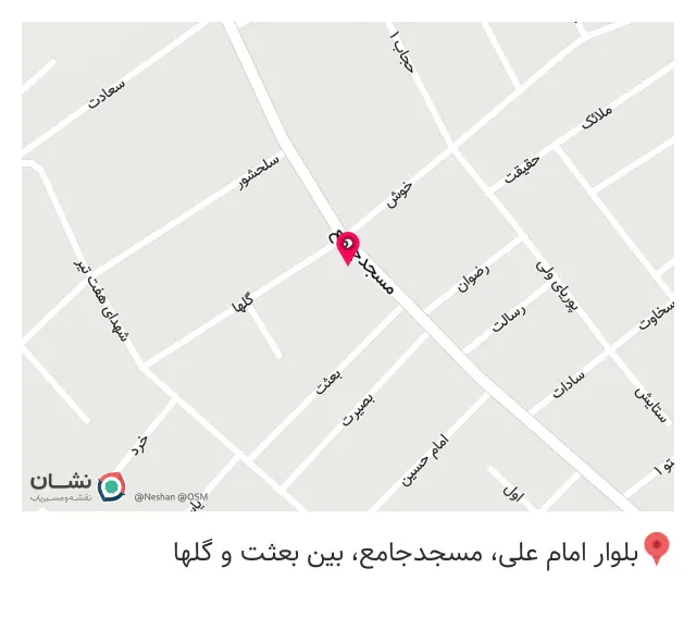 کاکتوس وساکولنت