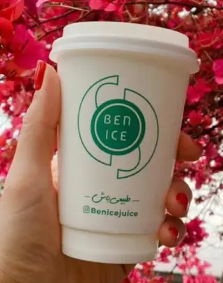 بن آیس طبیعی باش