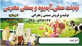آبمیوه بستنی محرمی