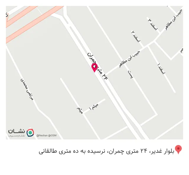 فست فود مش برگر