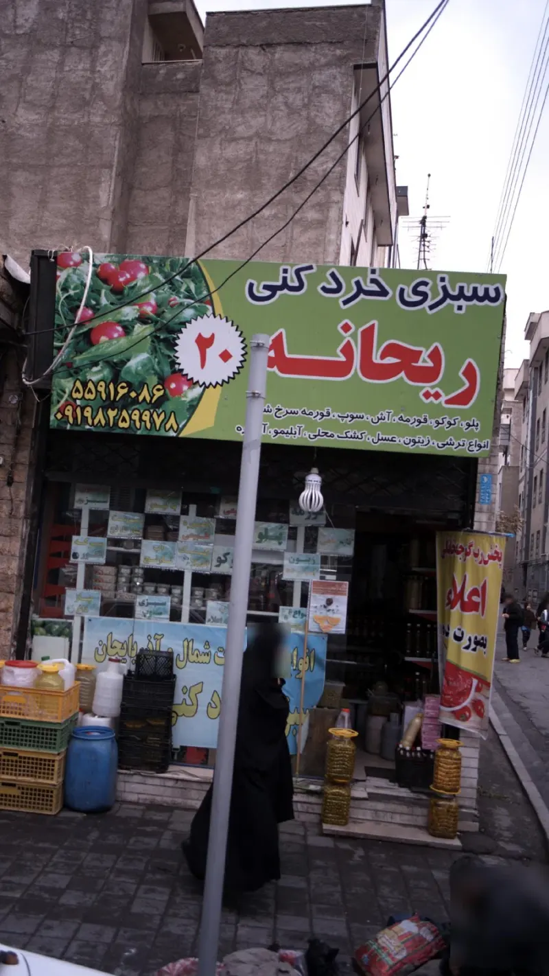 سبزی خردکنی ریحانه 20