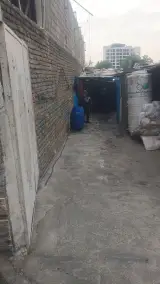 دام زنده کریمی