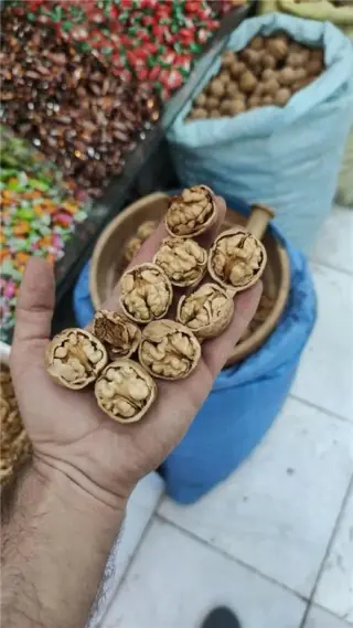 فروش گردو کاغذی خراسان شمالی