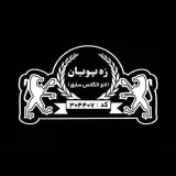 لیزینگ ره پویان خودرو