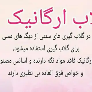 عرقیات مرهم