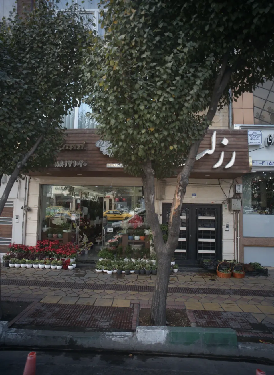 گلفروشی رزلند (شعبه 1)