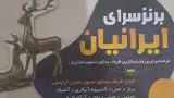 ظروف اشپزخانه شهبازی