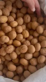 لبنیات سنتی زمرد
