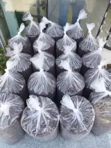 فروش انواع دان قهوه و قهوه ساز وبلندر