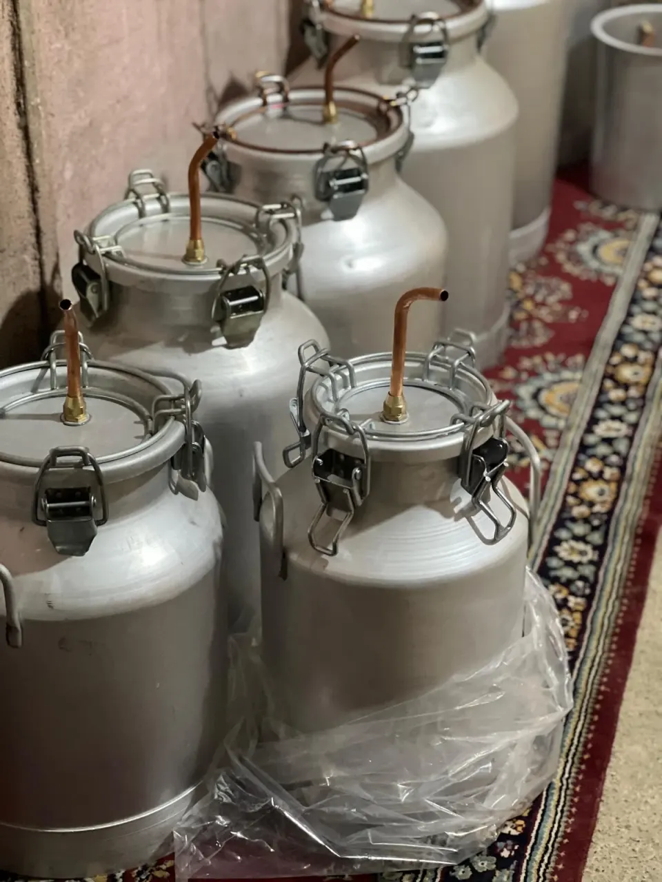 دهکده کشمش وهابی