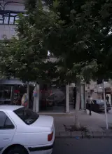 املاک پاسبان