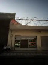 موسسه حمل و نقل شاهین