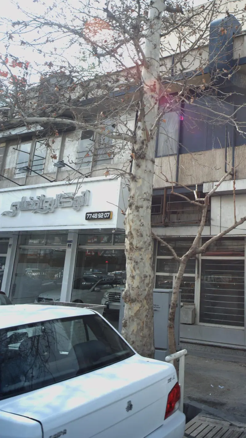 اتو گالری افضلی