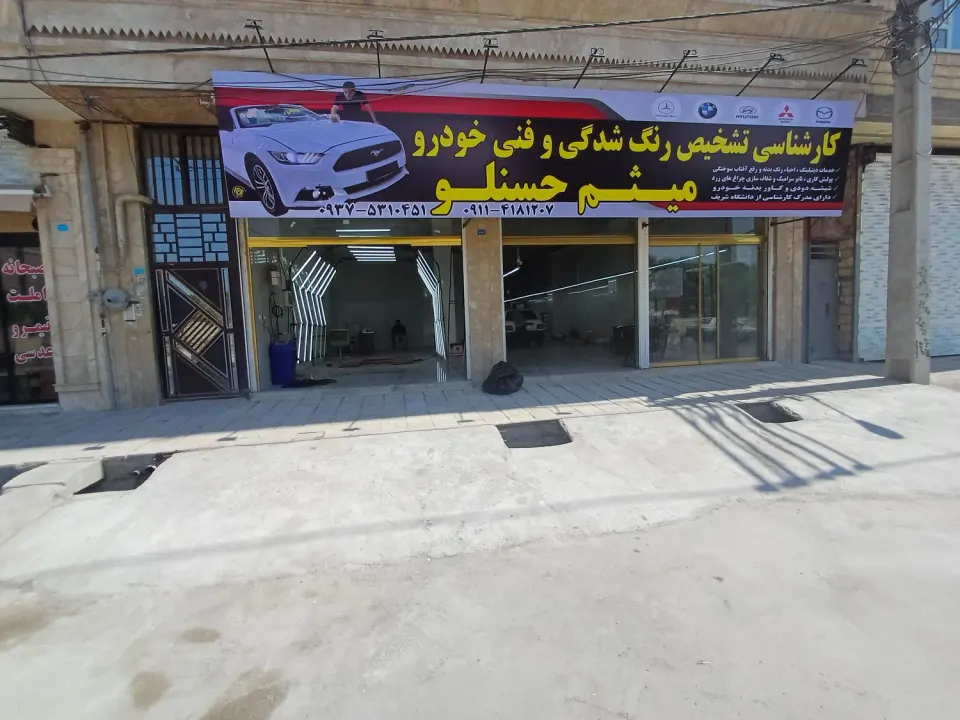 تشخیص رنگ میثم حسنلو