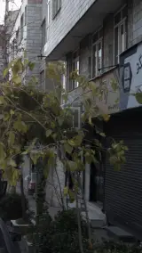 فروشگاه پوشاک و لوازم ورزشی امیر