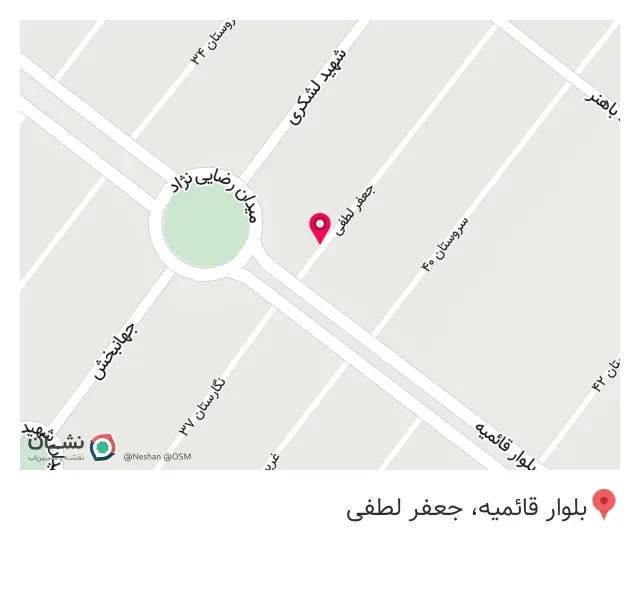 خشکشویی پالیز 2