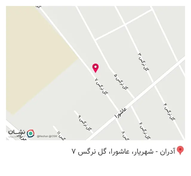 گلدوزی میرزایی