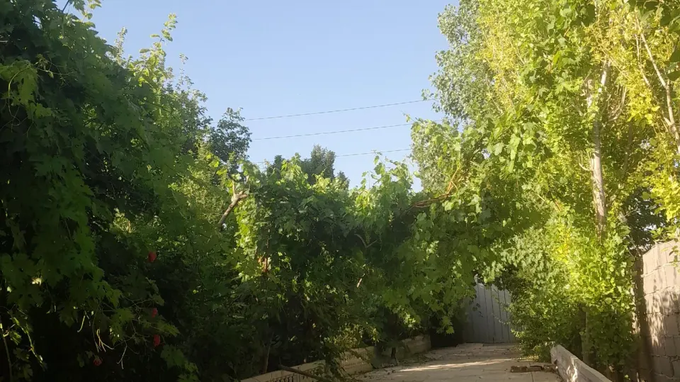 باغ گل وگیاه فدک
