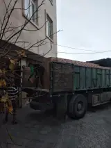 پخش مواد غذایی سادات