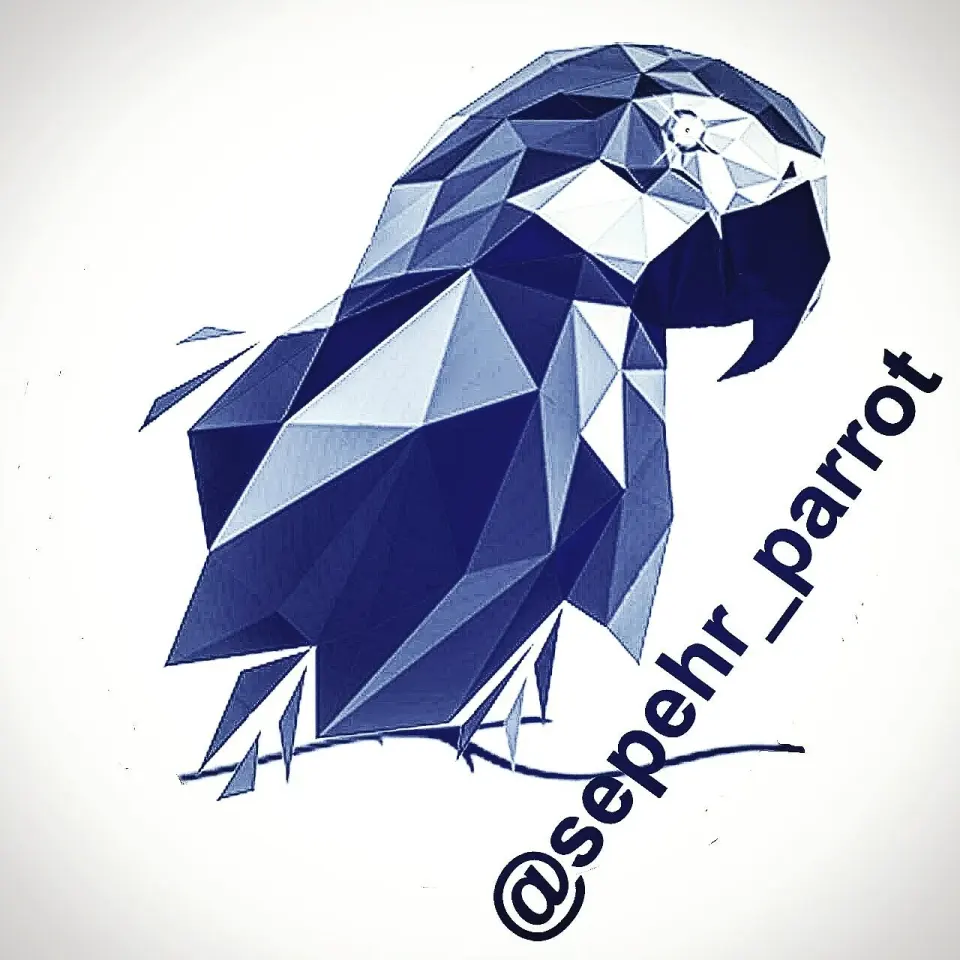 sepehr_parrot