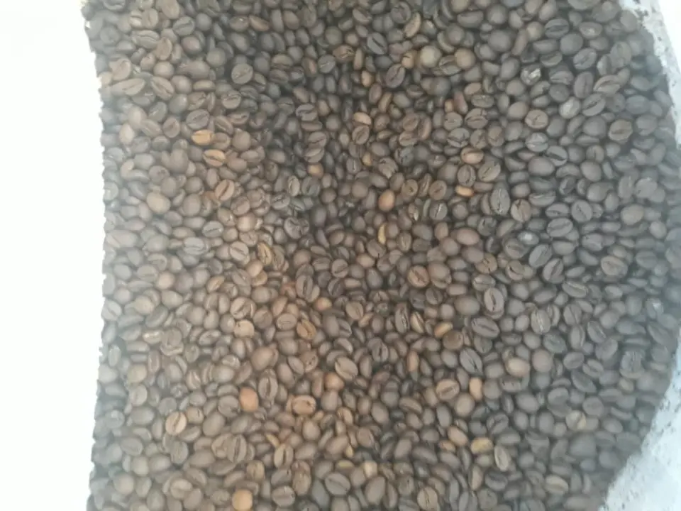 قهوه مجید