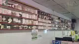 مارتین پروتئین