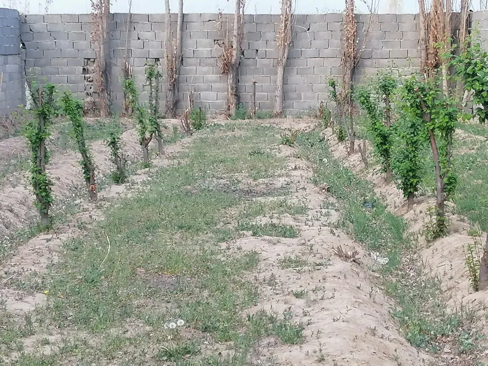 کشاورزی رضا جلالی