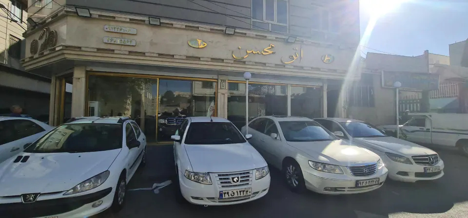 اتو محسن