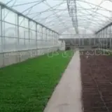 گلخانه ساز گل سبز میثاق