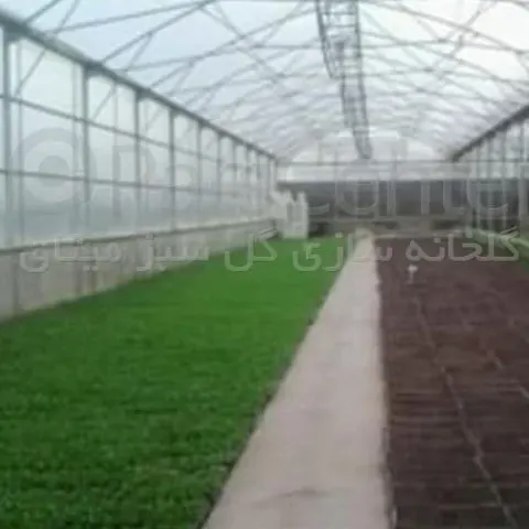 گلخانه ساز گل سبز میثاق