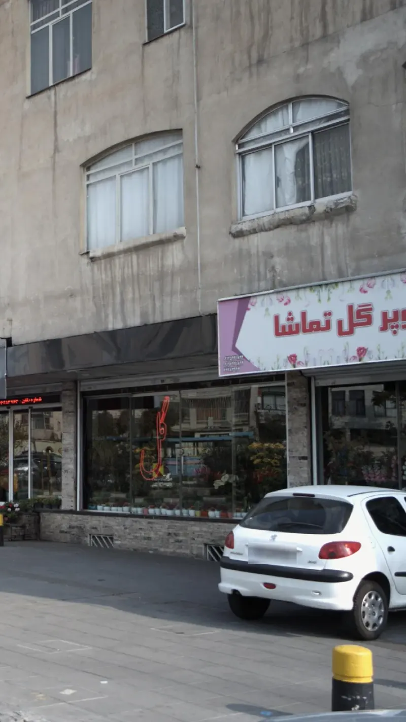گل تماشا