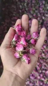 عطاری معجزه طبیعت