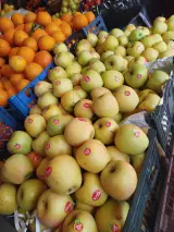 میوه فروشی نعمتیان