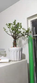 تعمیرگاه دوربین مداربسته سایبورگ