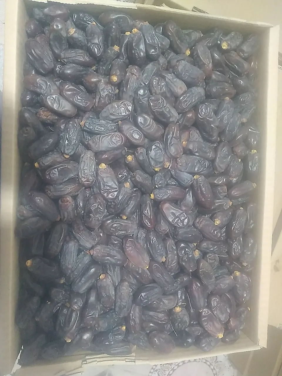 فروشنده خرما