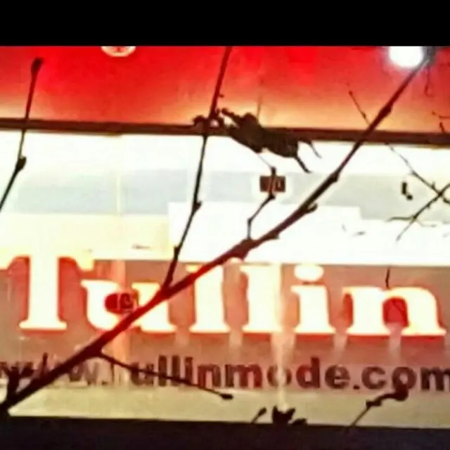 پوشاک زنانه تولین مد