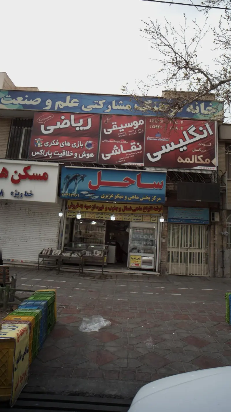 ساحل