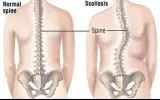 دکتر سارا سادات محسن الحسینی