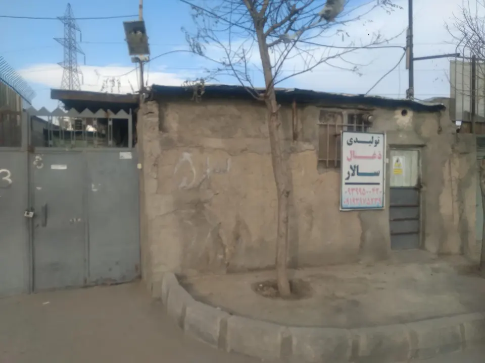 تولید ذغال سالار