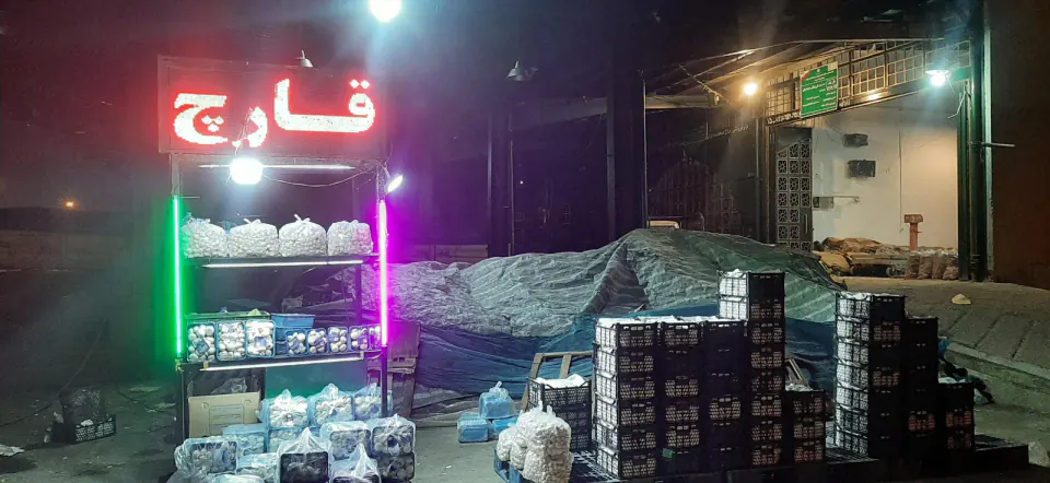 قارچ الماس