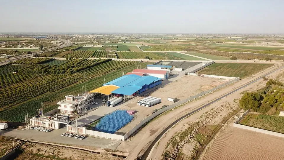 هلدینگ رحمت تجارت